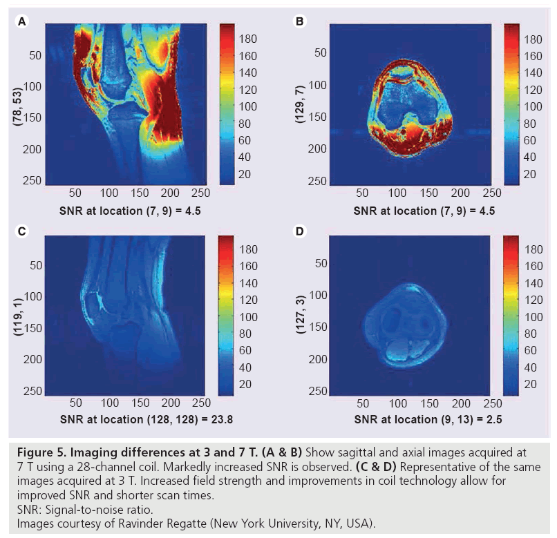 imaging-in-medicine-sagittal-axial