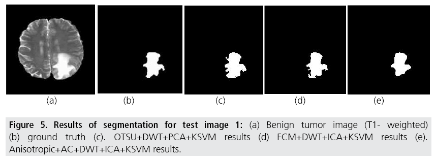 imaging-in-medicine-segmentation