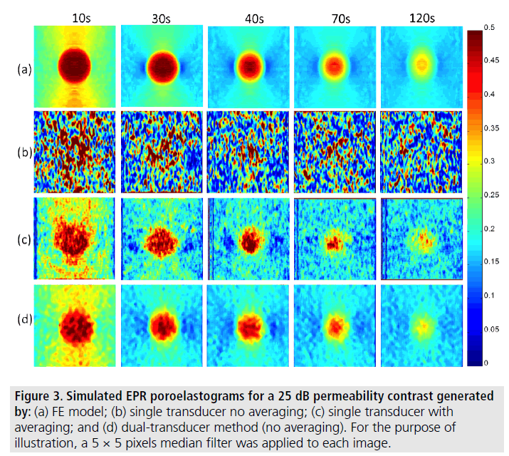 imaging-in-medicine-single-transducer