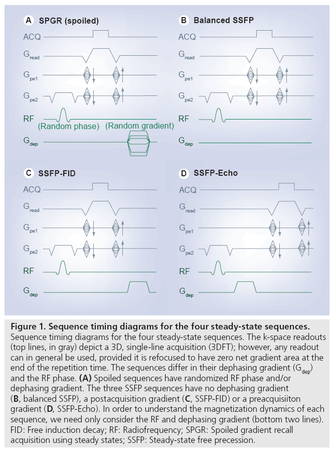 imaging-in-medicine-steady-state