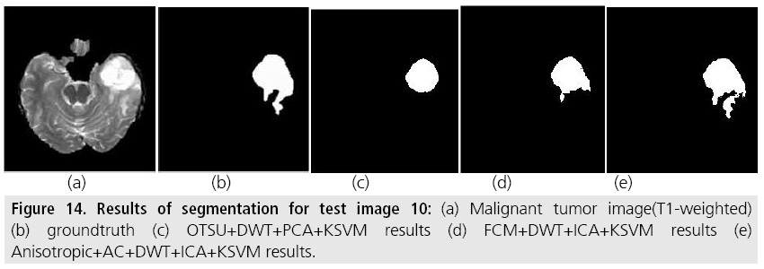 imaging-in-medicine-test-image