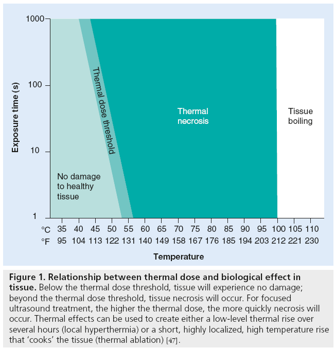 imaging-in-medicine-thermal-dose