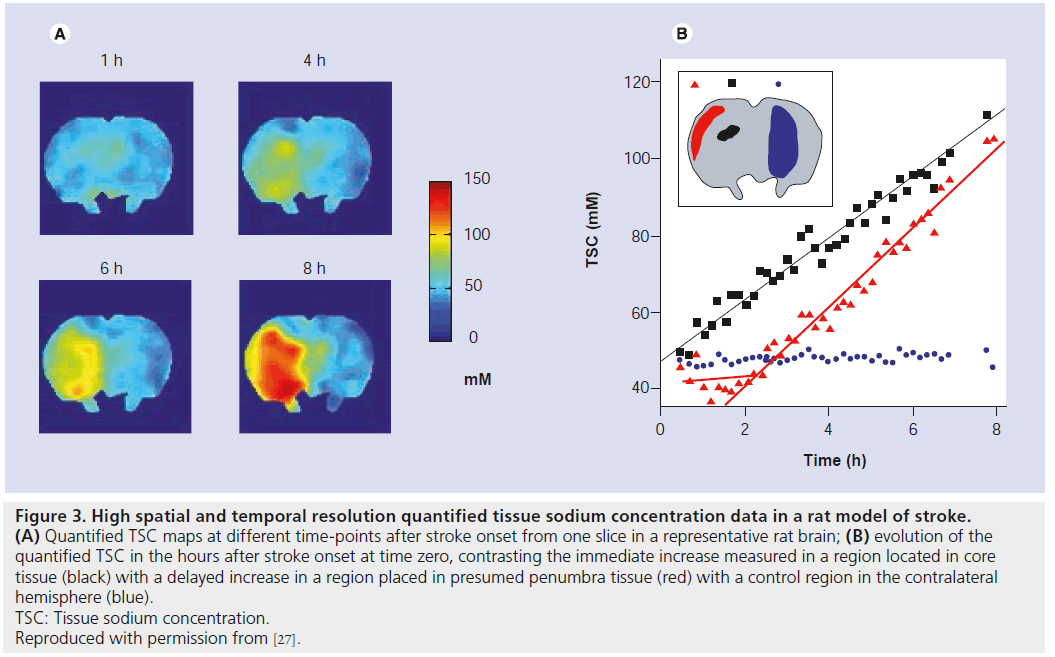 imaging-in-medicine-time-points