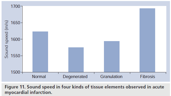 imaging-in-medicine-tissue-elements