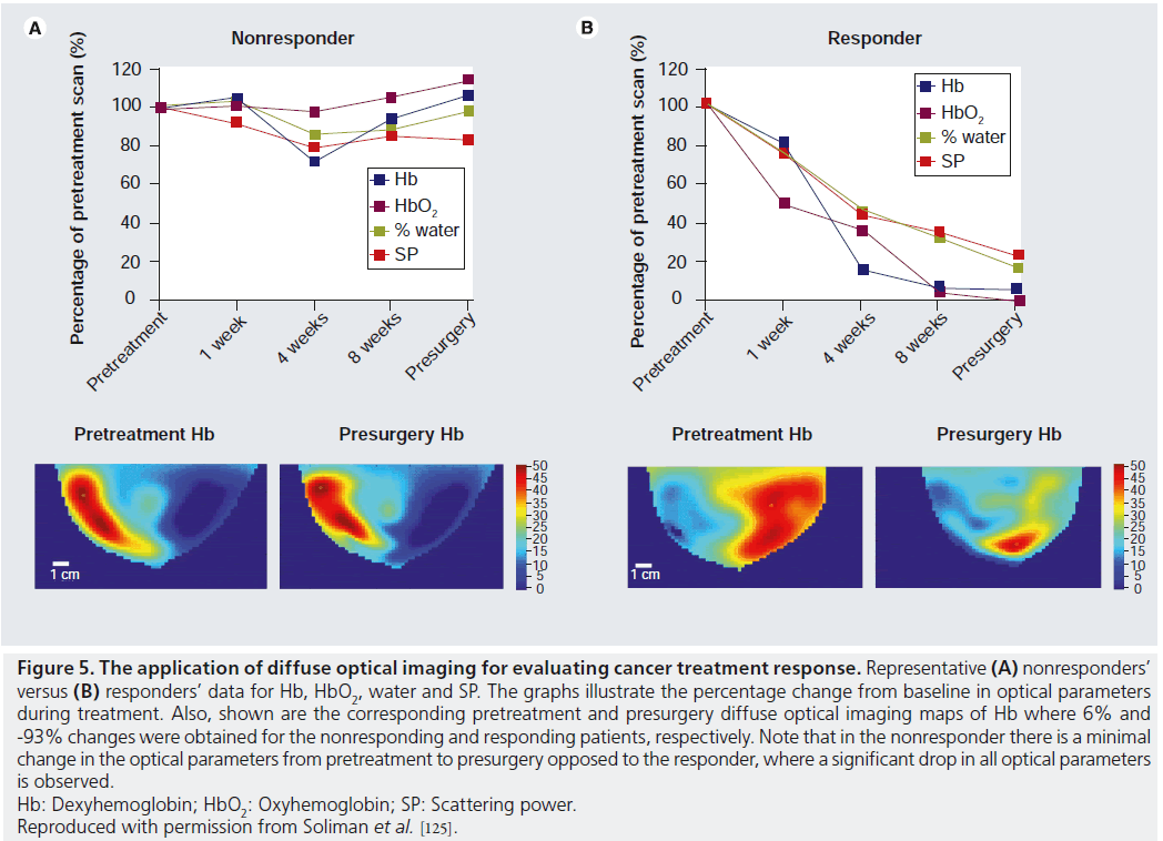 imaging-in-medicine-treatment-response