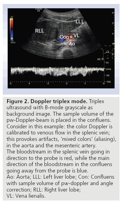 imaging-in-medicine-triplex-mode