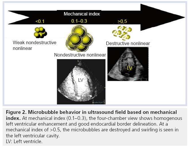 imaging-in-medicine-ultrasound-field