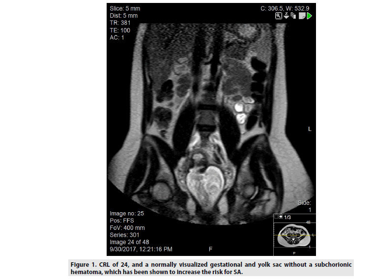 imaging-in-medicine-visualized