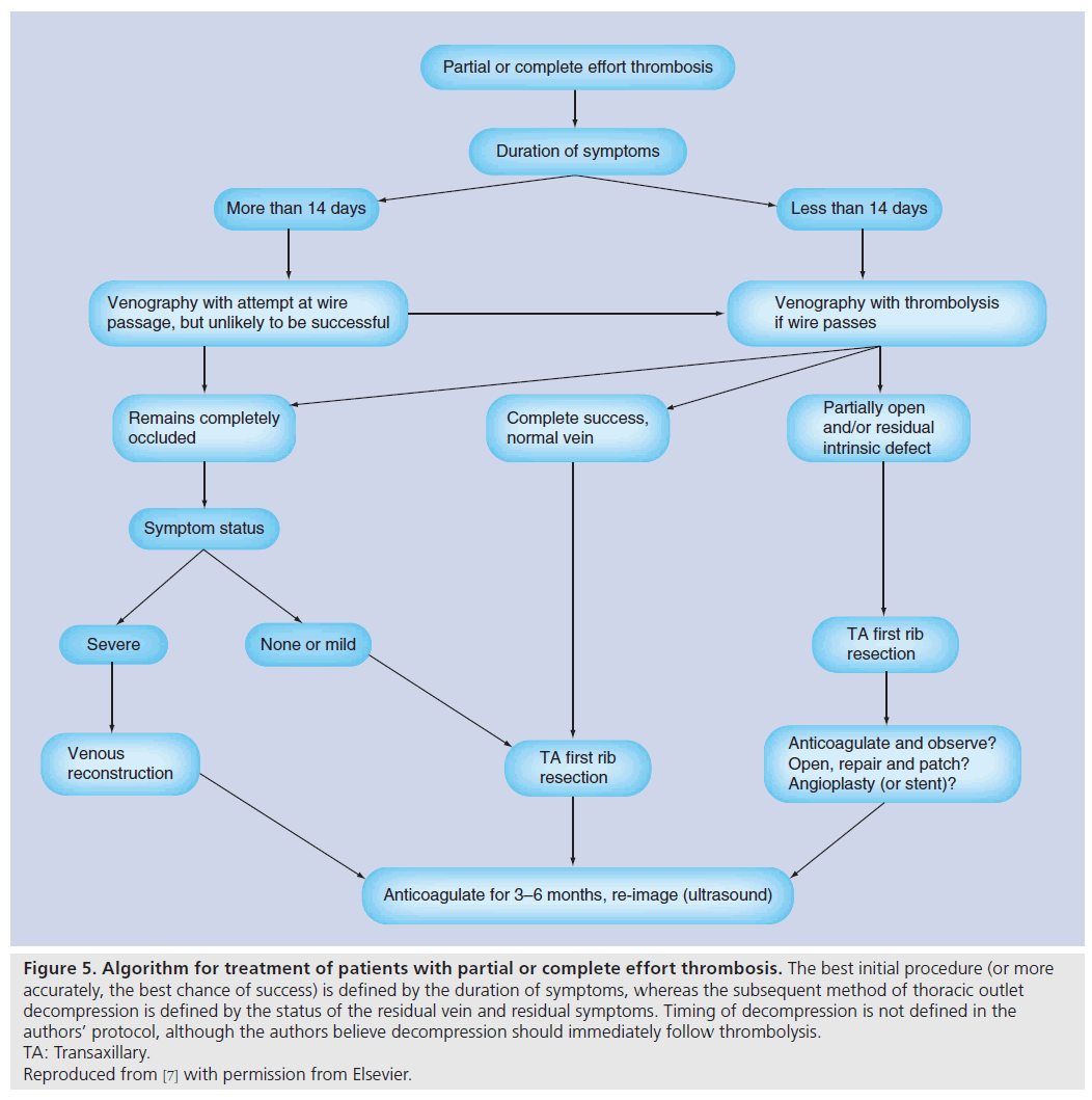 interventional-cardiology-Algorithm-treatment