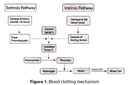 interventional-cardiology-Blood-clotting