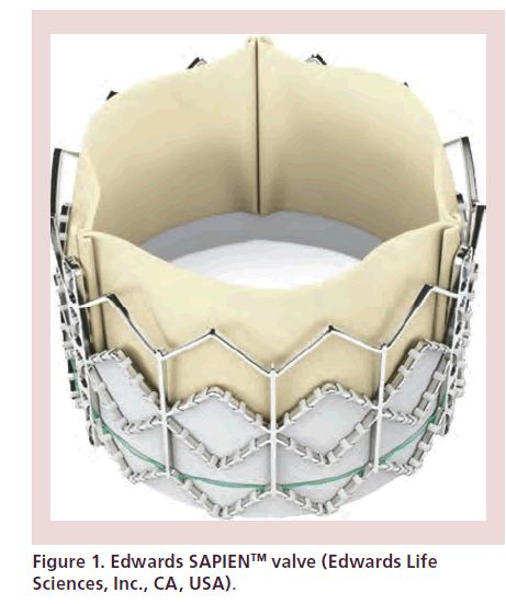 interventional-cardiology-Edwards-SAPIEN