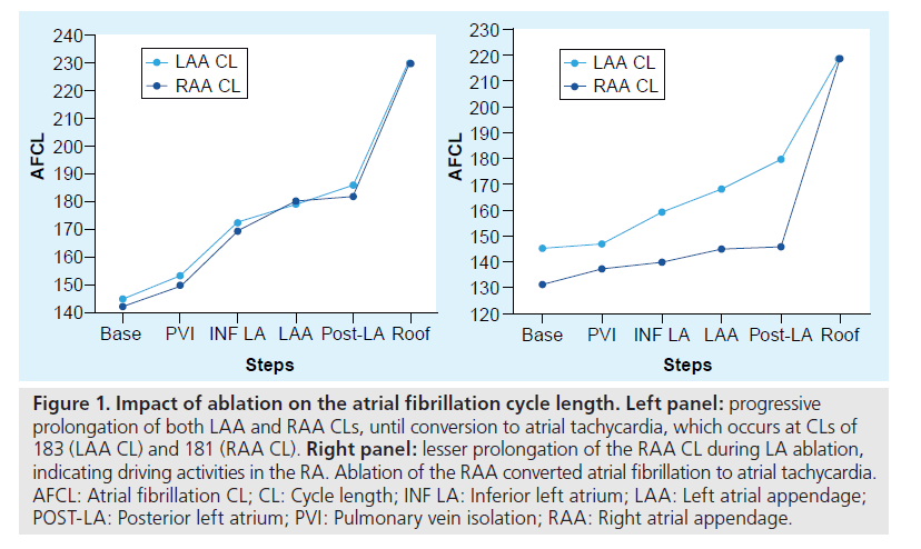 interventional-cardiology-Impact-ablation