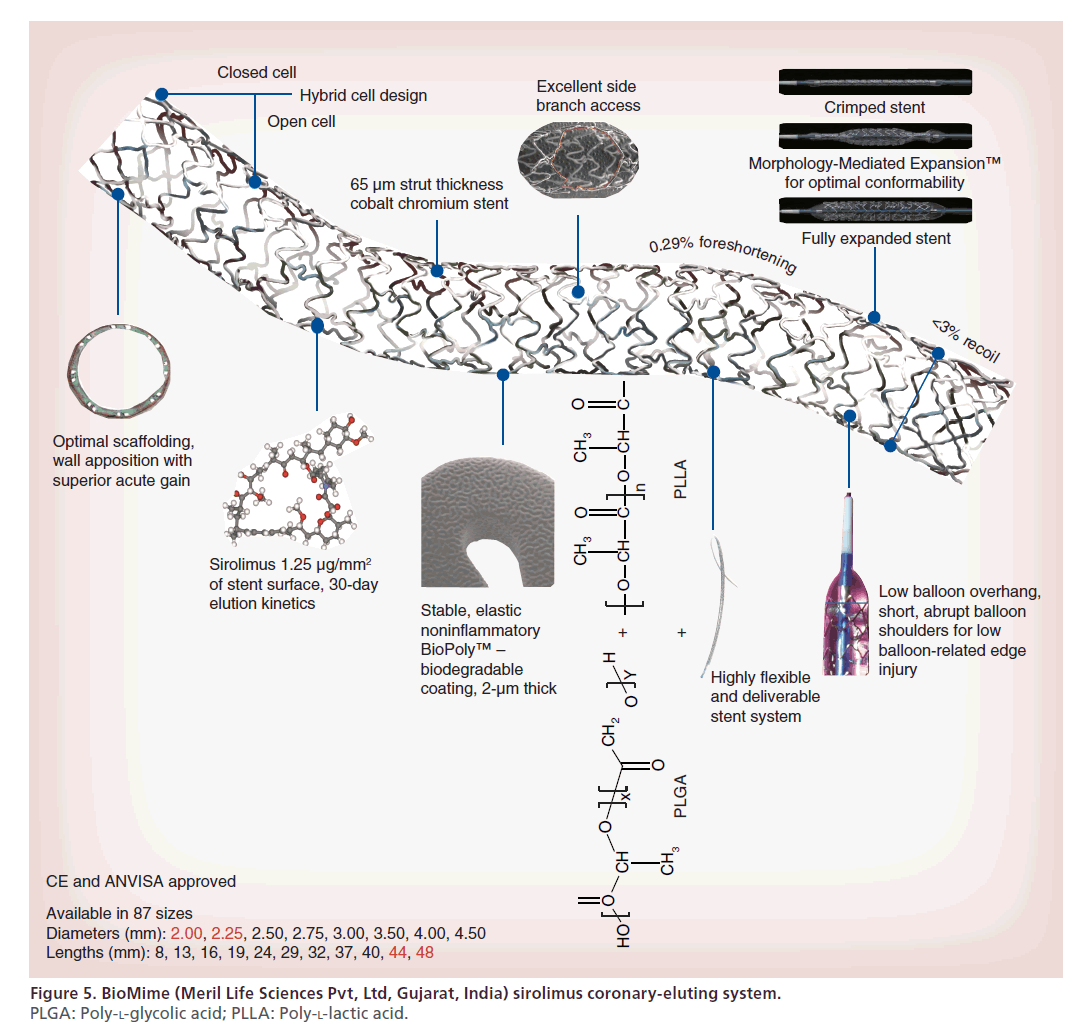 interventional-cardiology-Meril-Life