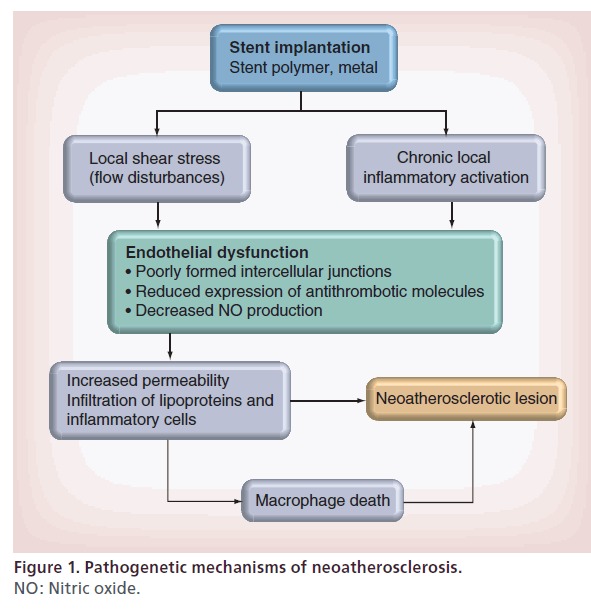 interventional-cardiology-Pathogenetic-mechanisms