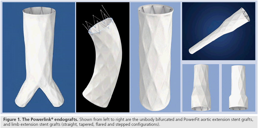 interventional-cardiology-PowerFit-aortic-extension