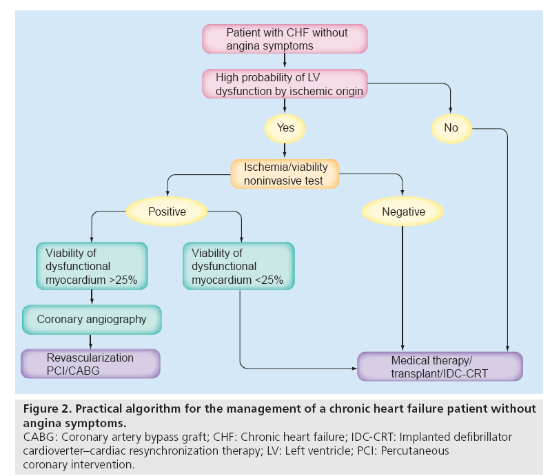 interventional-cardiology-Practical-algorithm