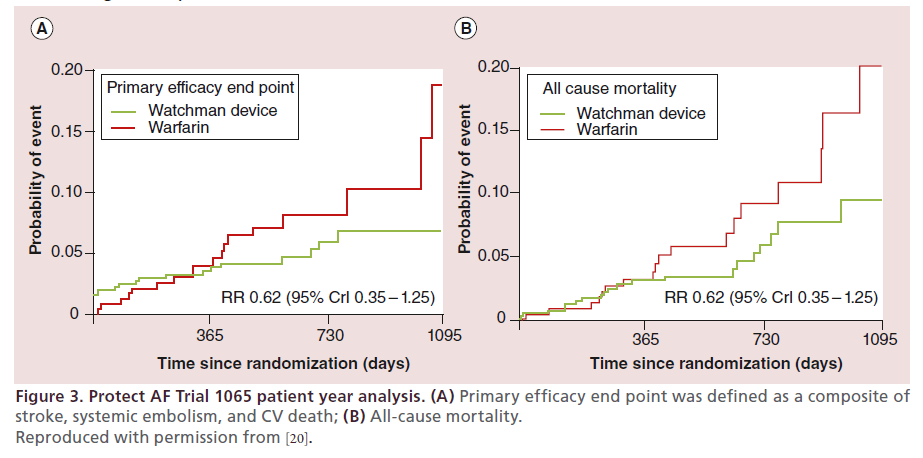 interventional-cardiology-Protect-AF-Trial