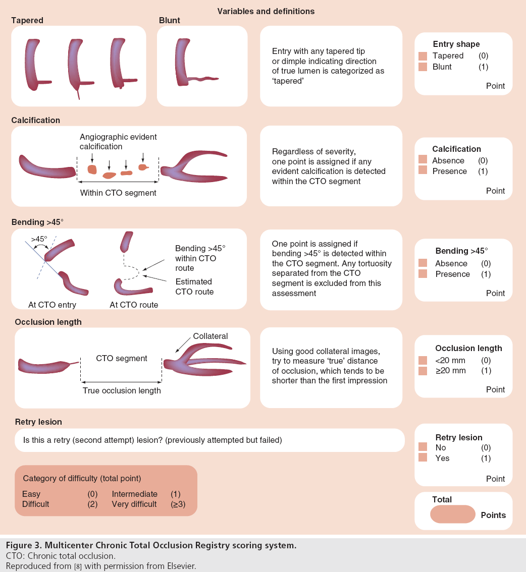 interventional-cardiology-Registry-scoring-system