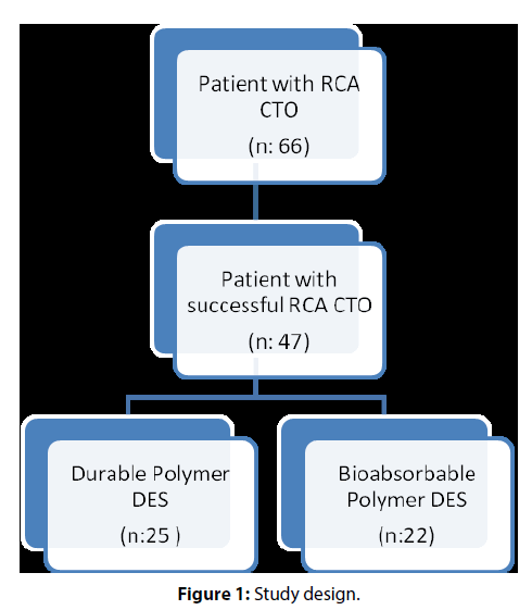 interventional-cardiology-Study-design