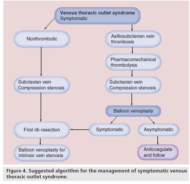 interventional-cardiology-Suggested-algorithm