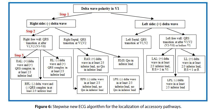 interventional-cardiology-accessory-pathways