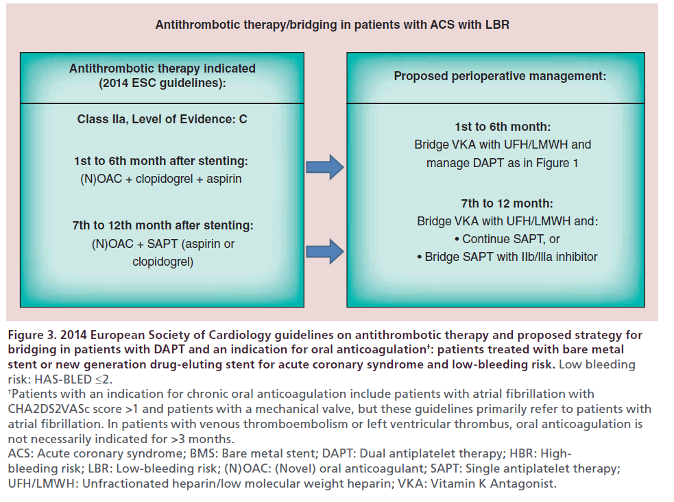 interventional-cardiology-antithrombotic-therapy