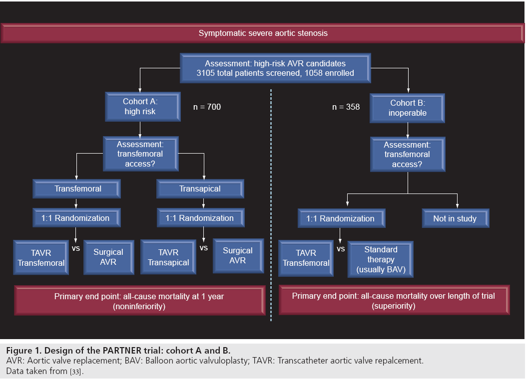 interventional-cardiology-aortic-valve-repalcement