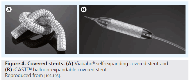 interventional-cardiology-balloon-expandable