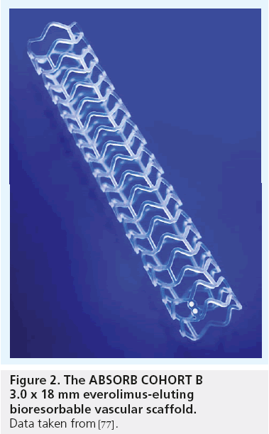 interventional-cardiology-bioresorbable-vascular-scaffold