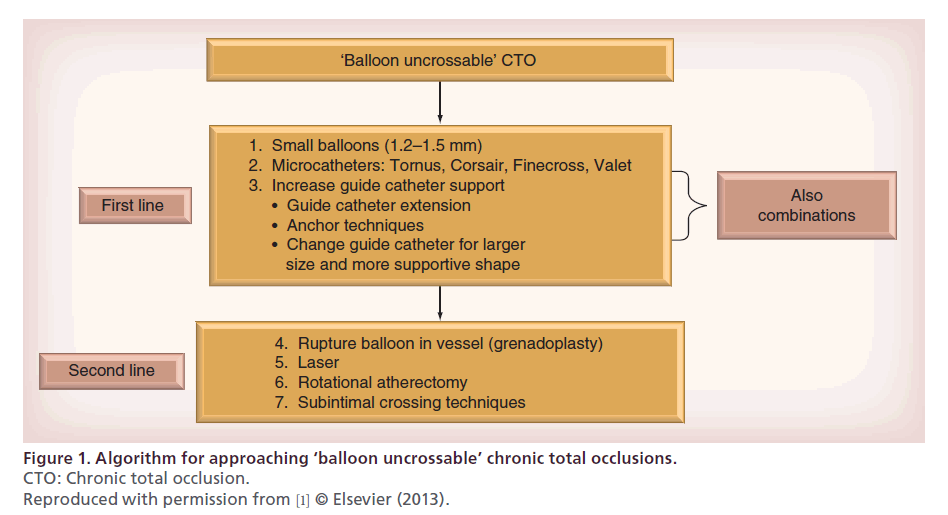 interventional-cardiology-chronic-total