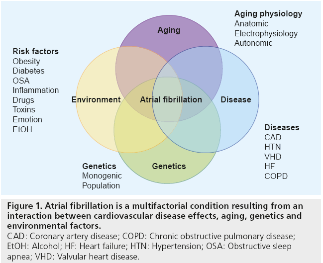 interventional-cardiology-multifactorial-condition-resulting