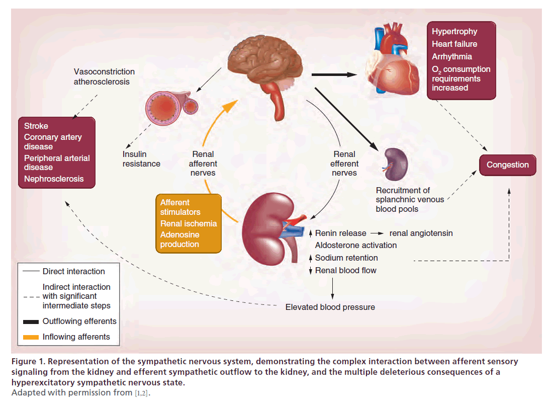 interventional-cardiology-nervous-state