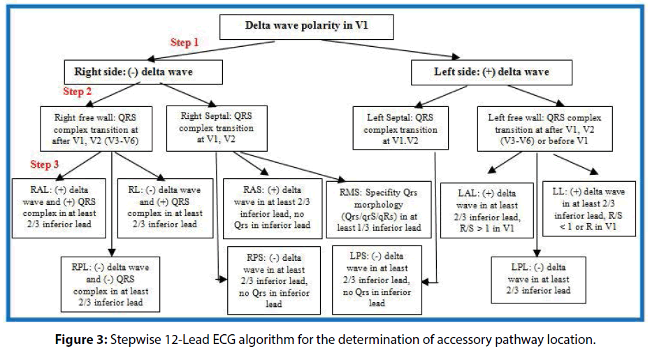 interventional-cardiology-pathway-location