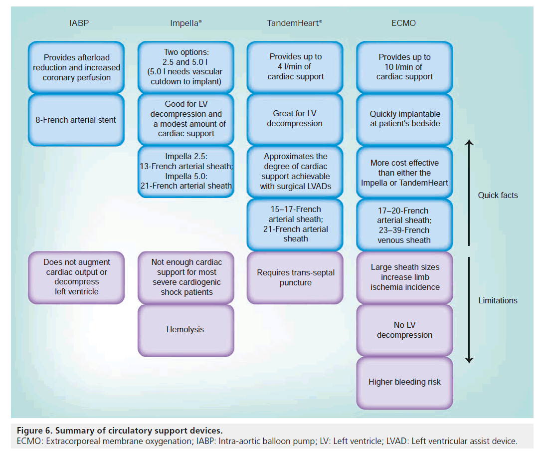 interventional-cardiology-support-devices