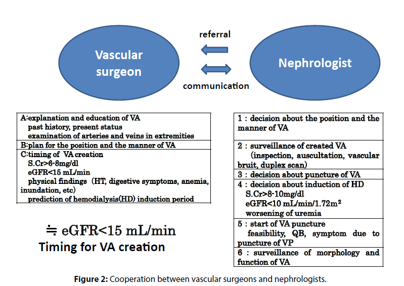 Creation Of Primary Arteriovenous Fistula Vascular Access For