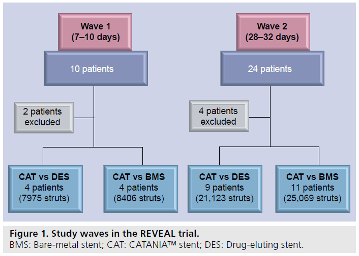 interventional-cardiology-waves