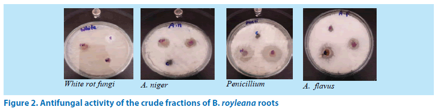 pharmaceutical-bioprocessing-Antifungal-activity