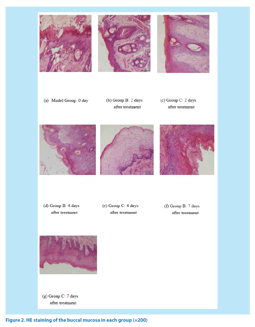 pharmaceutical-bioprocessing-HE-staining