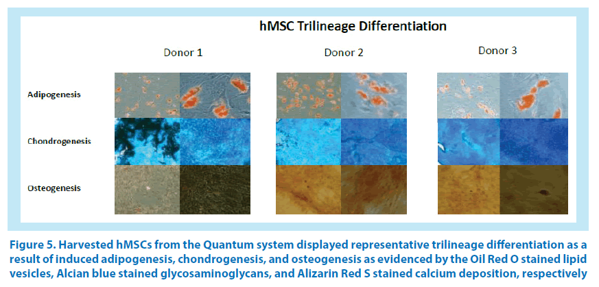 pharmaceutical-bioprocessing-Quantum-system