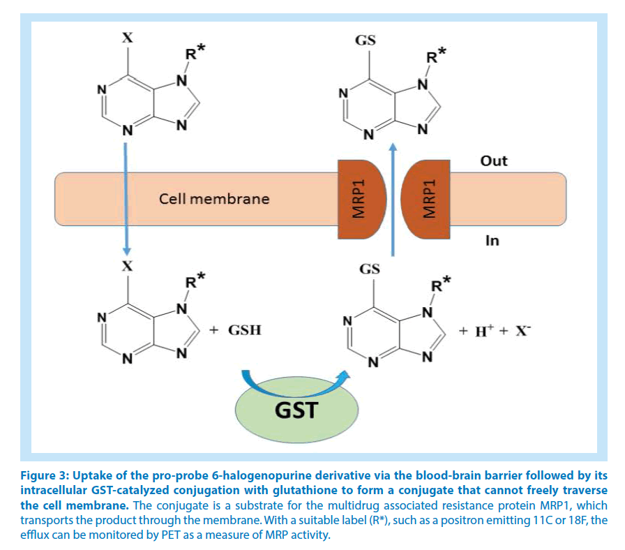 pharmaceutical-bioprocessing-Uptake-pro-probe