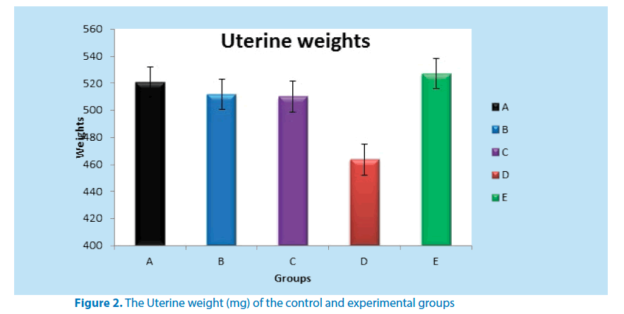 pharmaceutical-bioprocessing-Uterine-weight