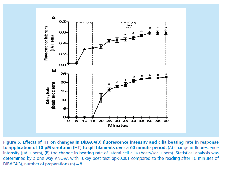 pharmaceutical-bioprocessing-cilia-beating-rate