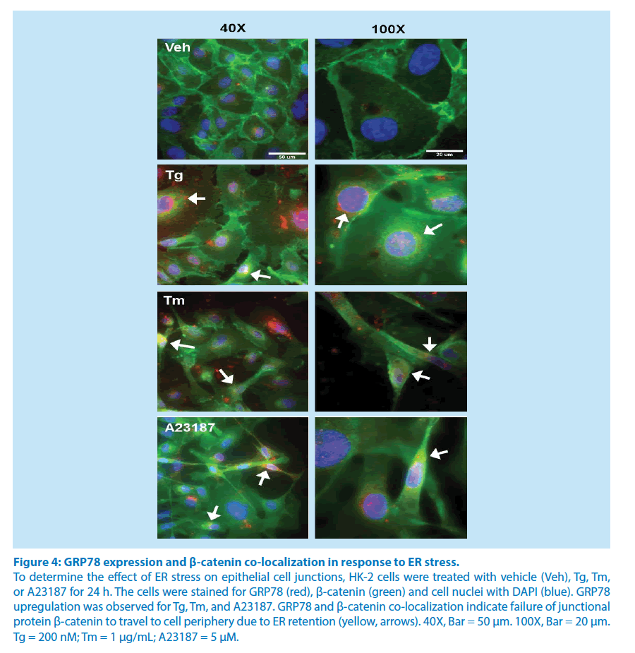 pharmaceutical-bioprocessing-co-localization-response