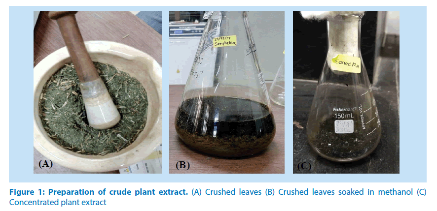 pharmaceutical-bioprocessing-crude-plant