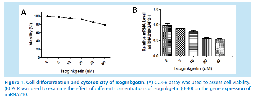 pharmaceutical-bioprocessing-cytotoxicity-isoginkgetin