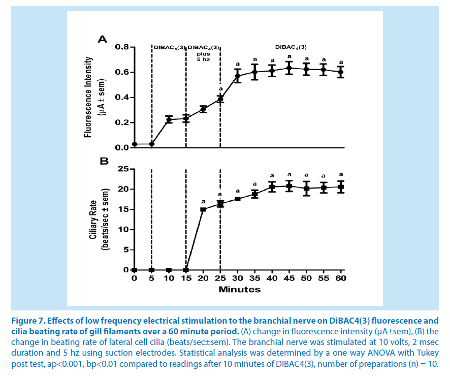 pharmaceutical-bioprocessing-electrical-stimulation