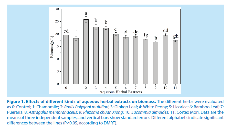 pharmaceutical-bioprocessing-extracts-biomass
