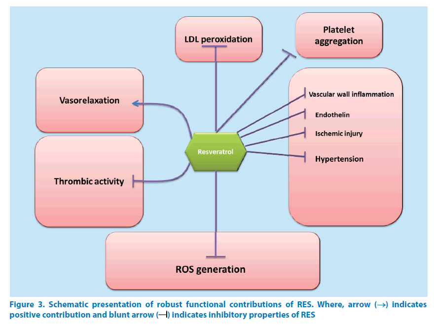 pharmaceutical-bioprocessing-functional-contributions