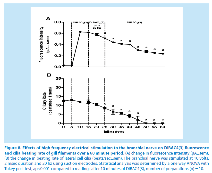 pharmaceutical-bioprocessing-gill-filaments