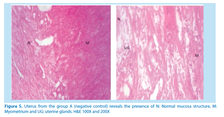 pharmaceutical-bioprocessing-group-A